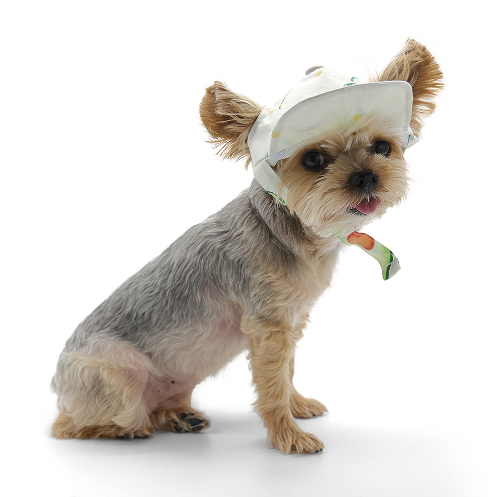 Avocado Hat