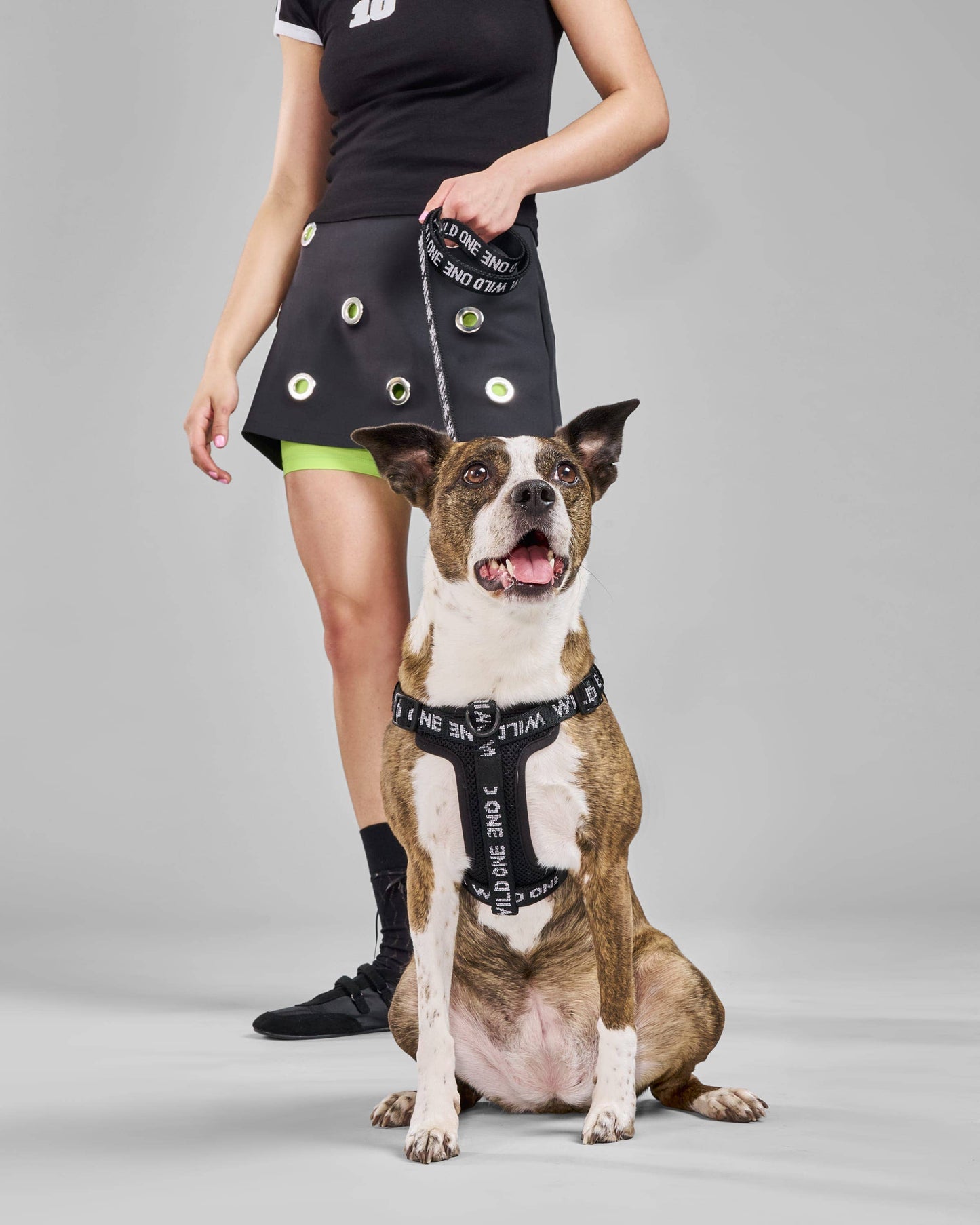 Step-In Harness