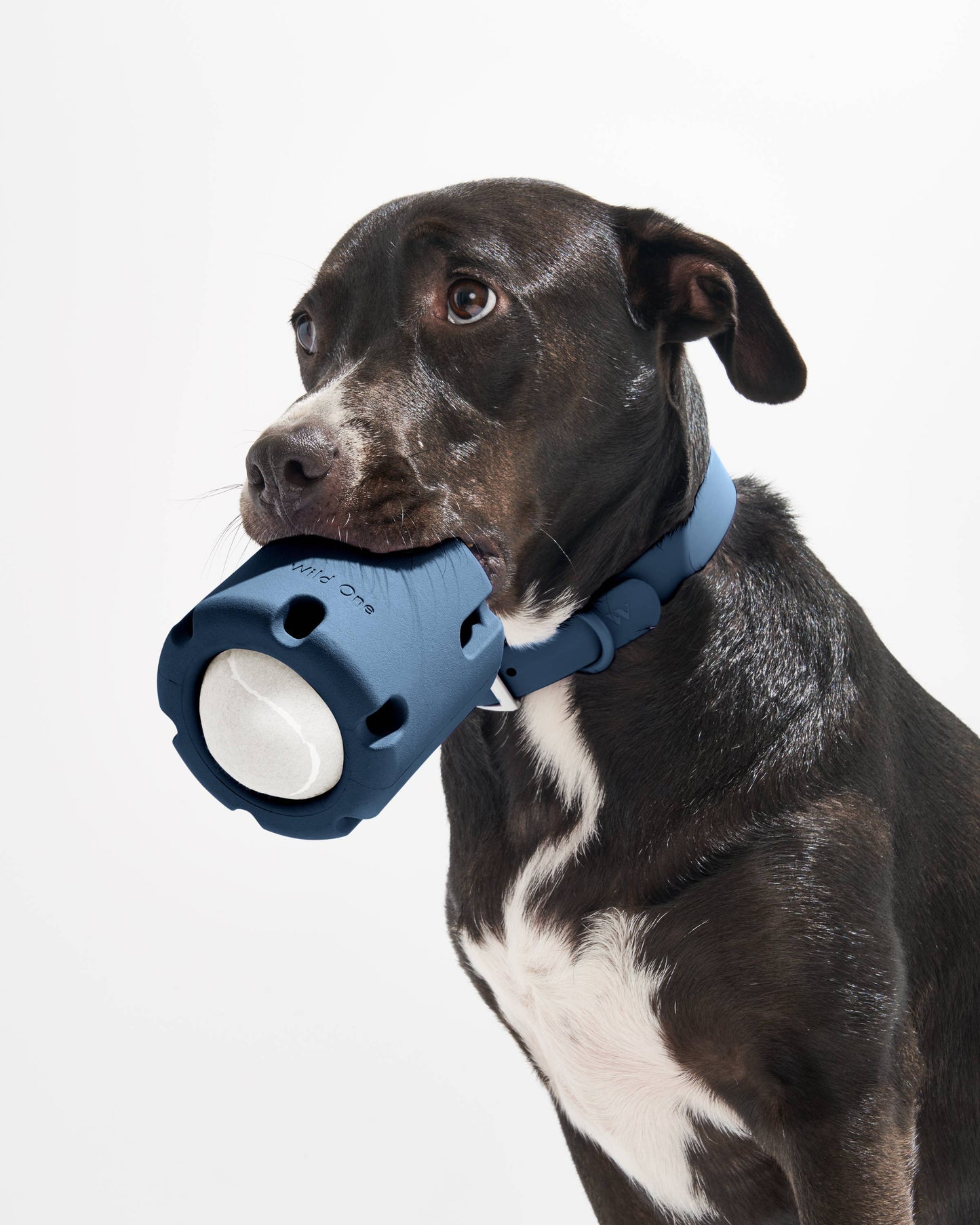 Tennis Tumble Interactive Dog Toy