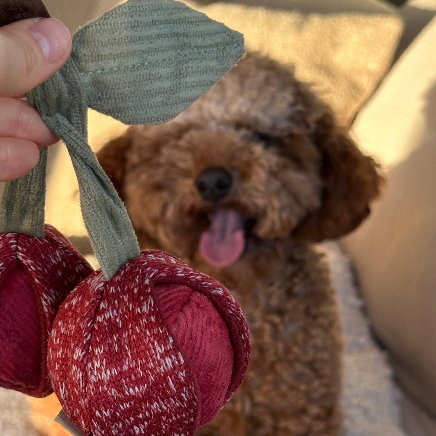 CHERRY POP//ENRICHMENT DOG TOY