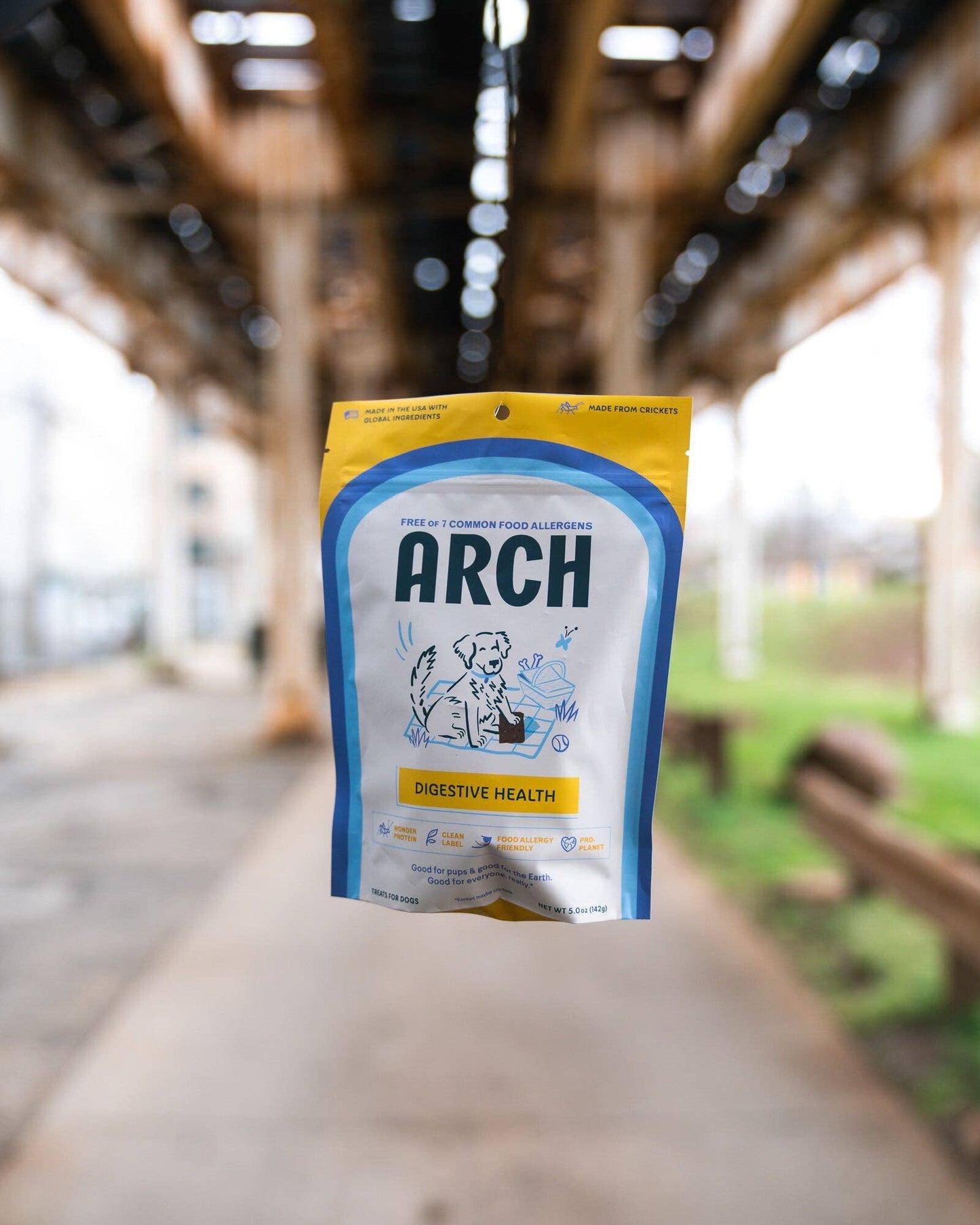 Digestive Health Prebiotic and Probiotic Dog Treat