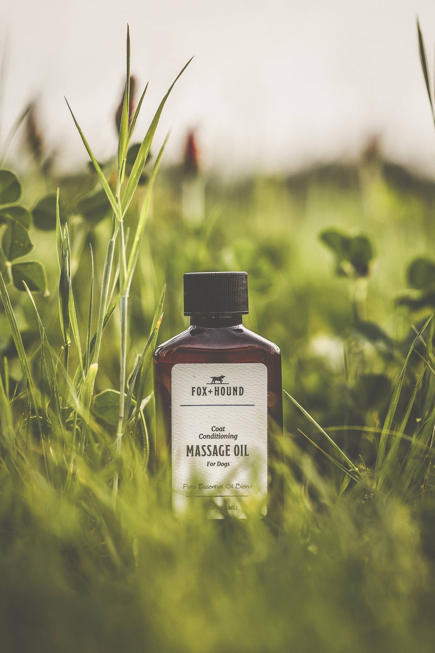 Massage Oil For Dogs - Coat Conditioning Massage Oil Natural