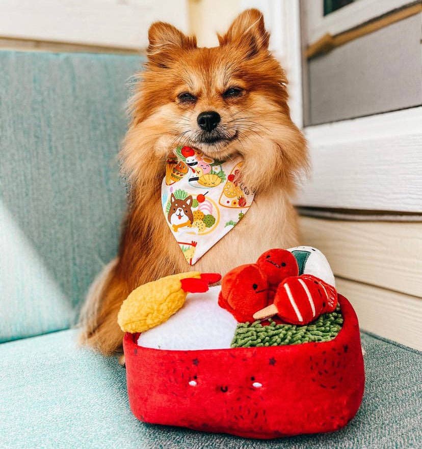 Benny Bento Box