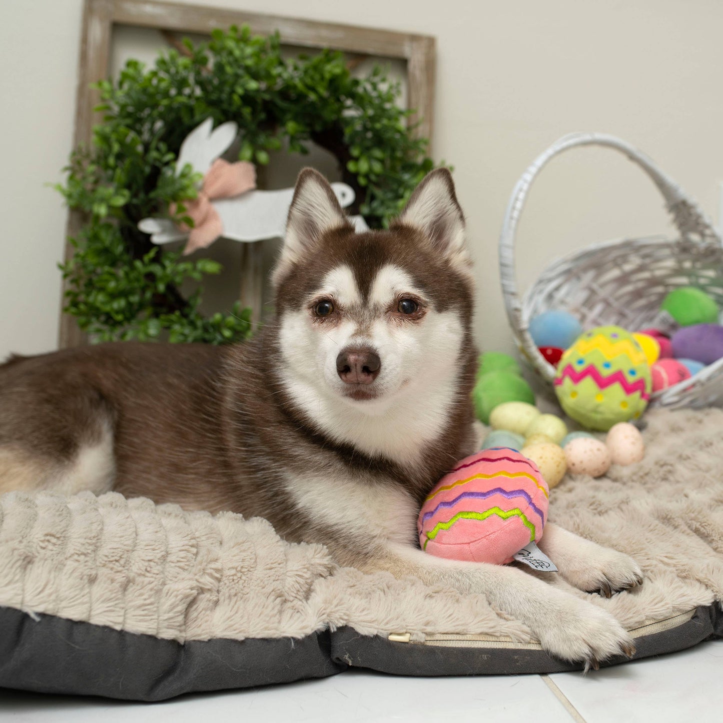 Easter Egg Plush Dog Toy - Pink