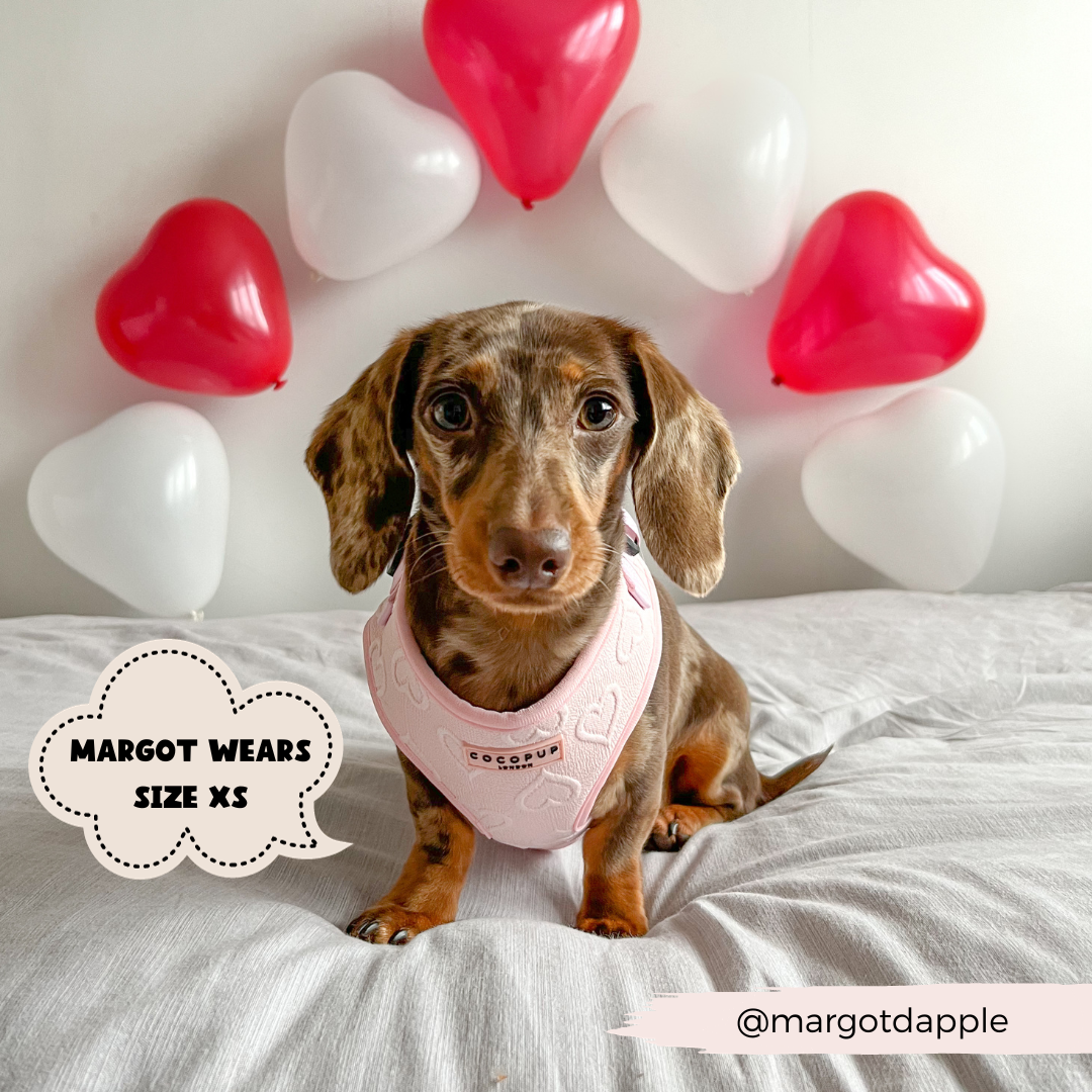 Luxe Adjustable Neck Harness - Baby Pink Heart