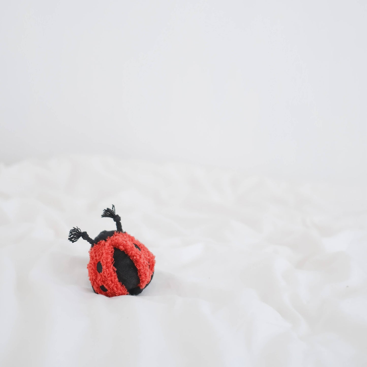 LADYBUG POP // ENRICHMENT TOY // SNUFFLE TOY