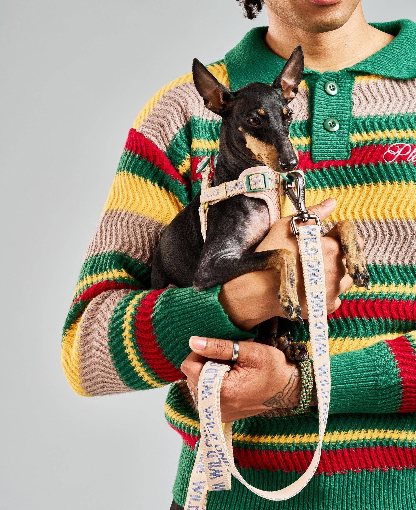 Lightweight Nylon Leash