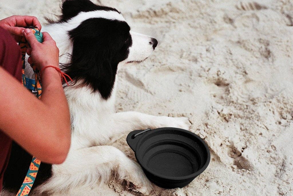 Black | Go Bowl: Small