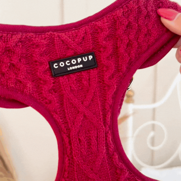 Cable Knit Jumper Adjustable Neck HARNESS - Mulled Pup Wine