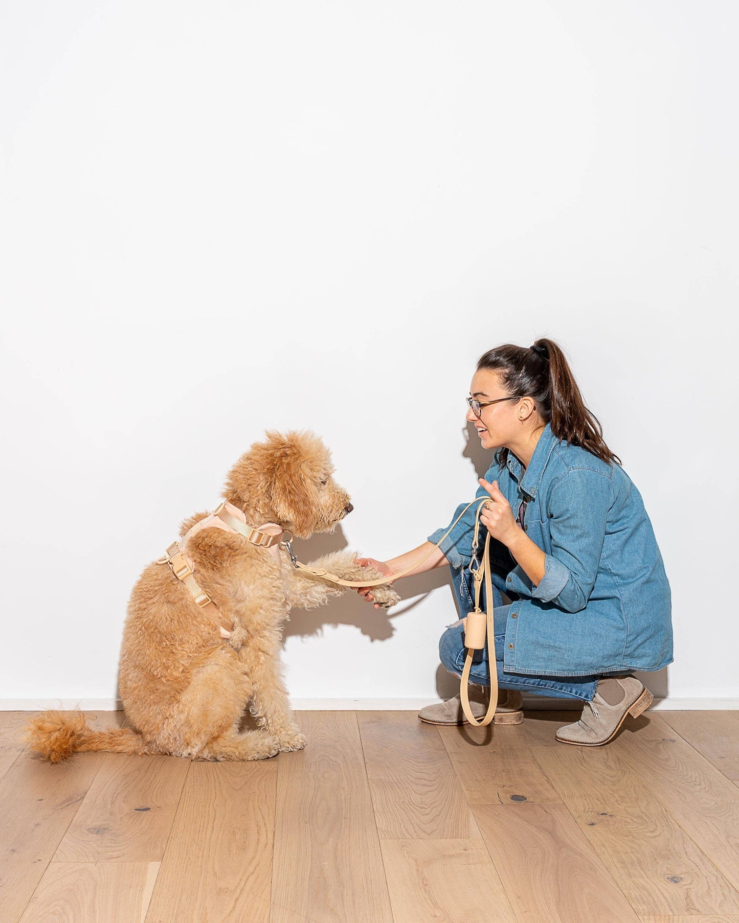 Poop Bag Carrier Dispenser for Pets & Dogs