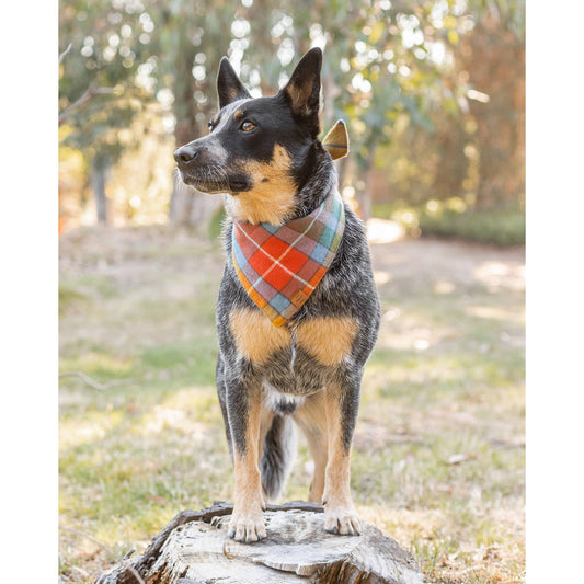 Buchanan Plaid Fall Dog Bandana