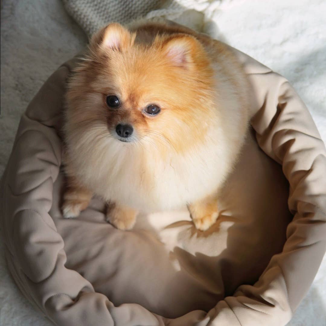 TAART // DOG&CAT BED // Reversible // PETITE