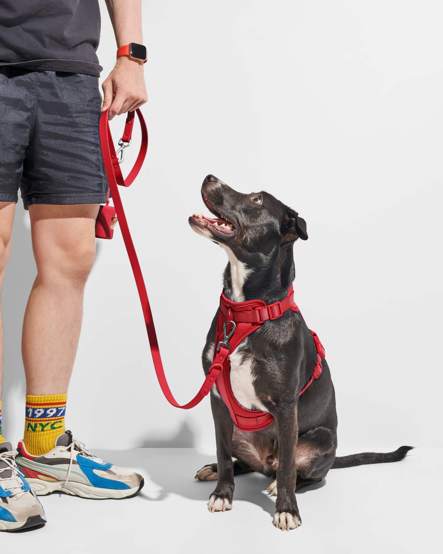 Poop Bag Carrier Dispenser for Pets & Dogs