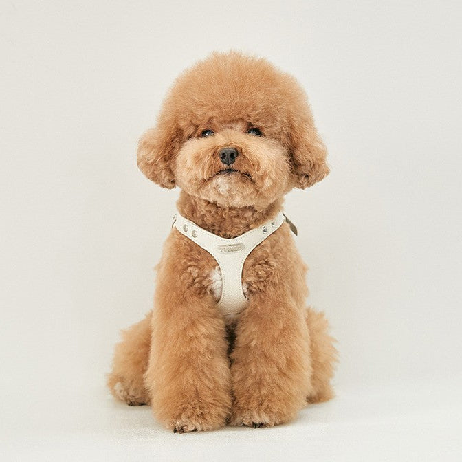 Delight Belt Harness - Vegan Leather