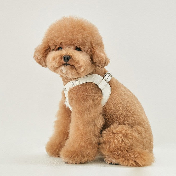 Delight Belt Harness - Vegan Leather