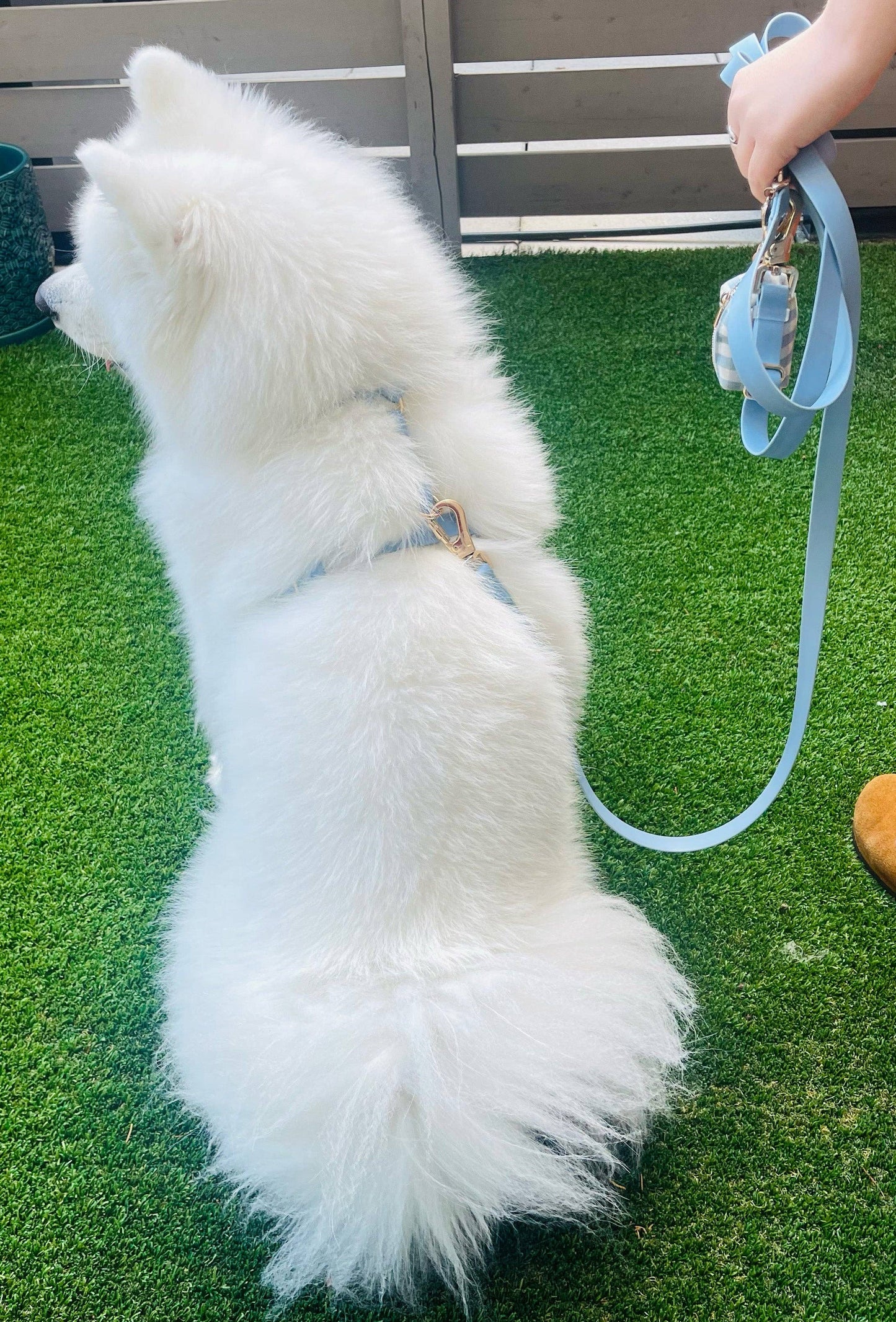 Malibu Blue Cloud Lite Dog Harness