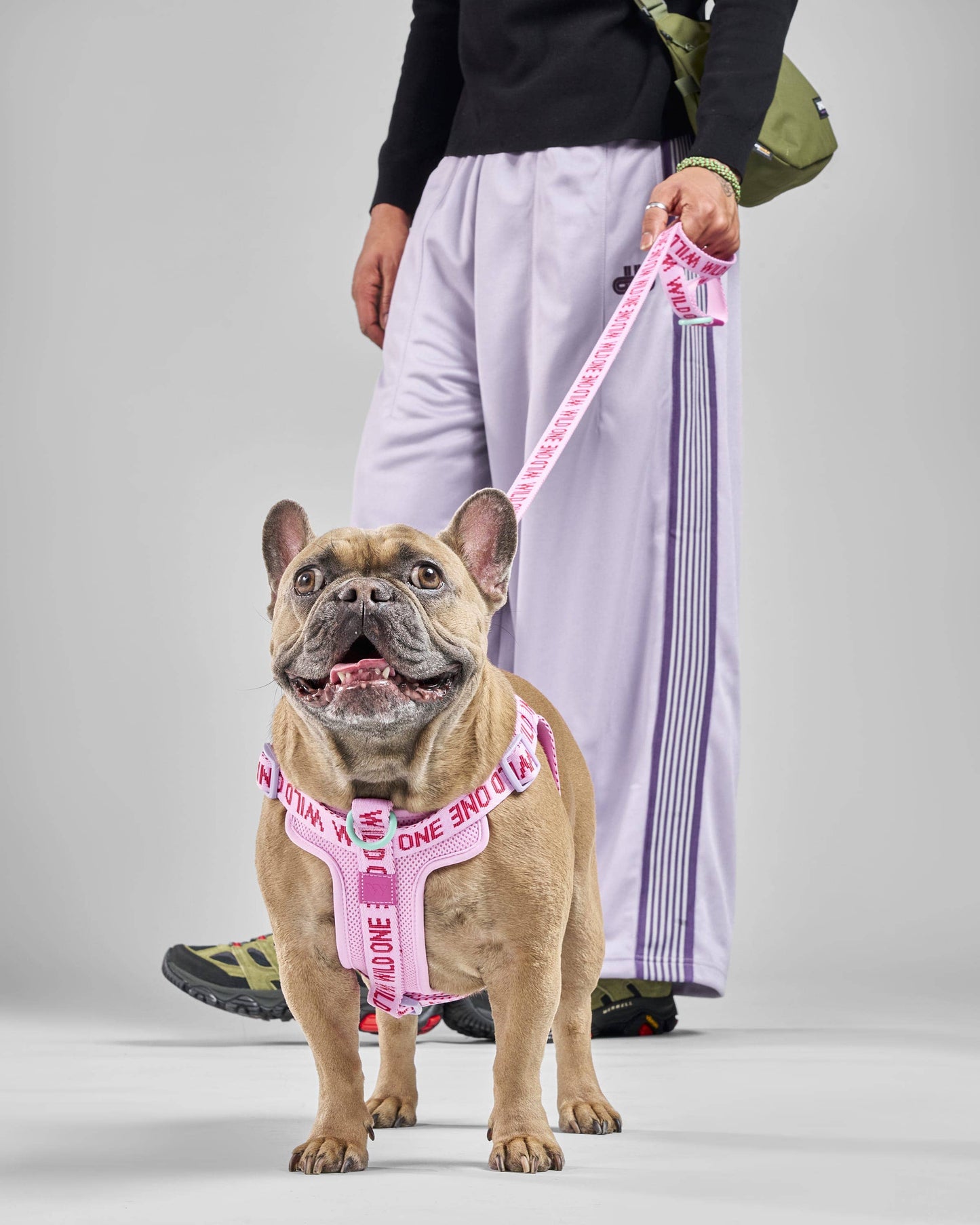 Step-In Harness