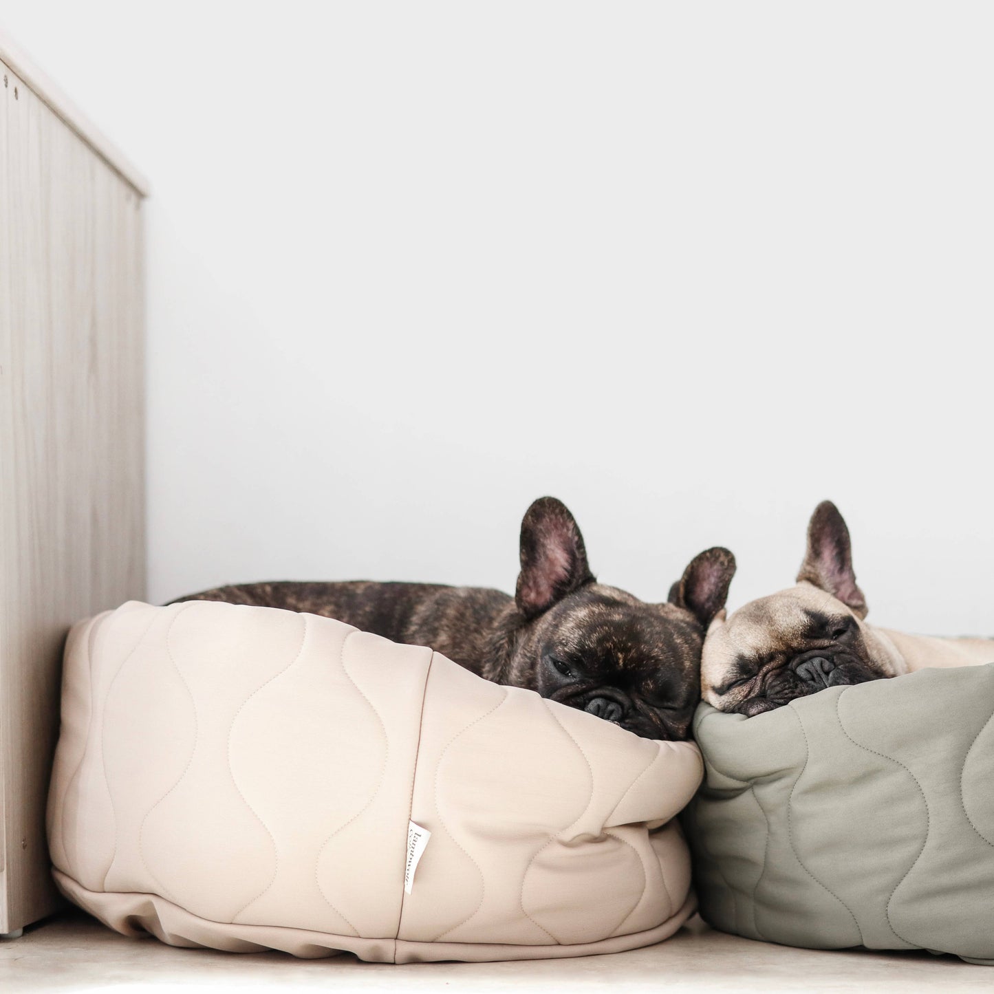 TAART // DOG&CAT BED // Reversible // PETITE