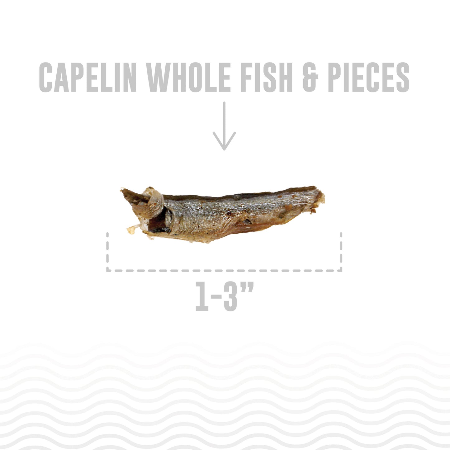 Icelandic+ Capelin Whole Fish & Pieces Dog Treat: 2.5-oz Bag