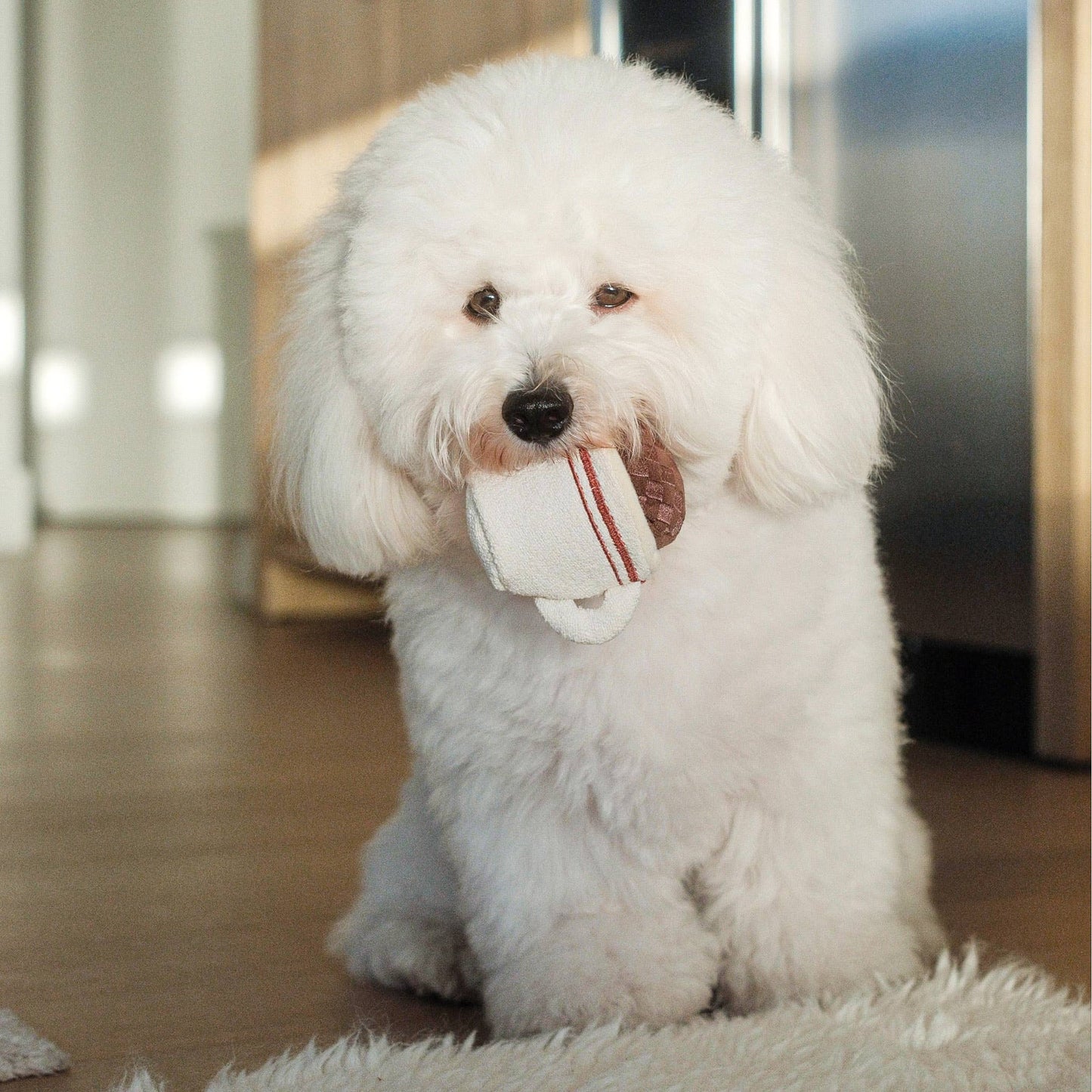 ESPRESSO POP//ENRICHMENT DOG TOY