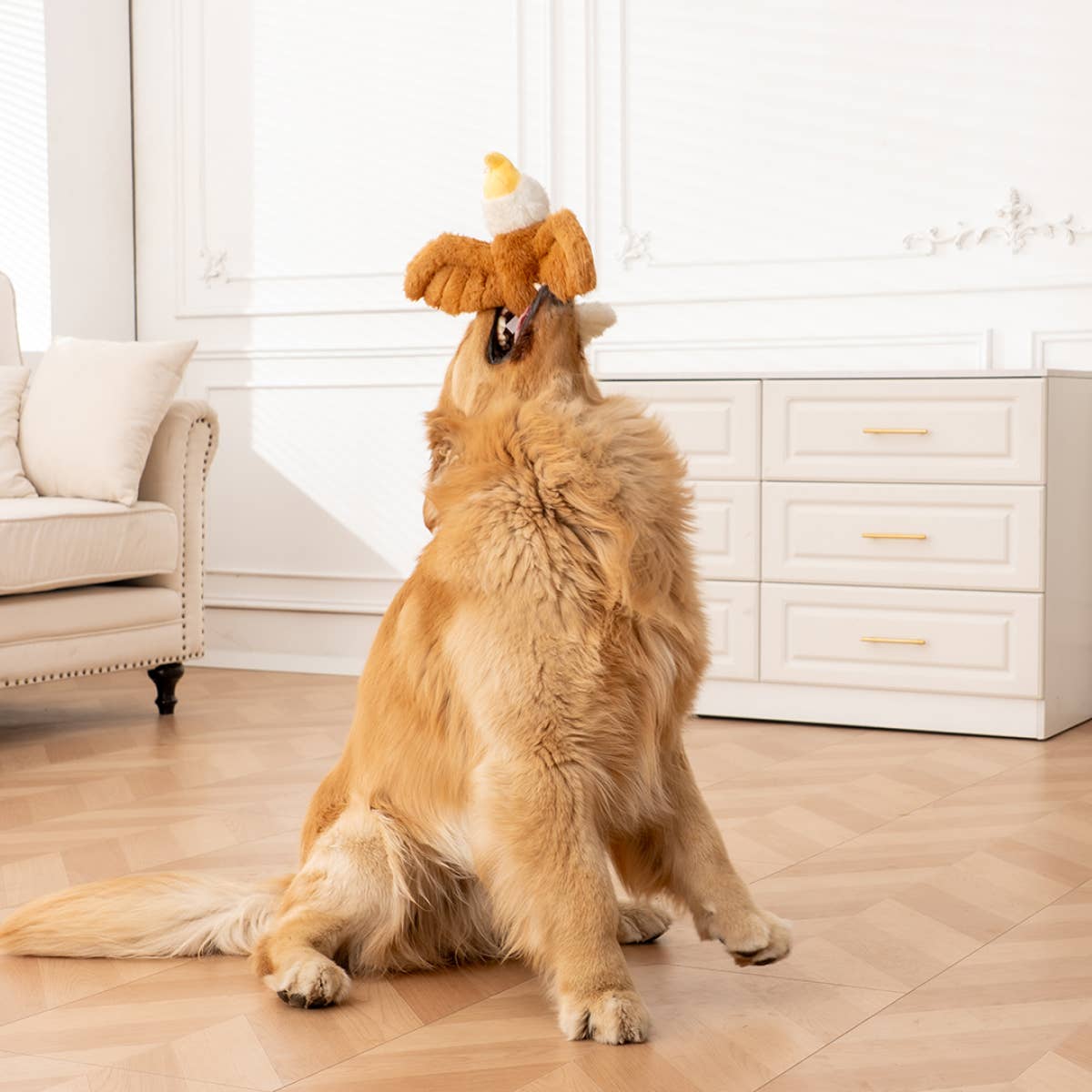 Eagle Fling and Fly Toy for Dogs