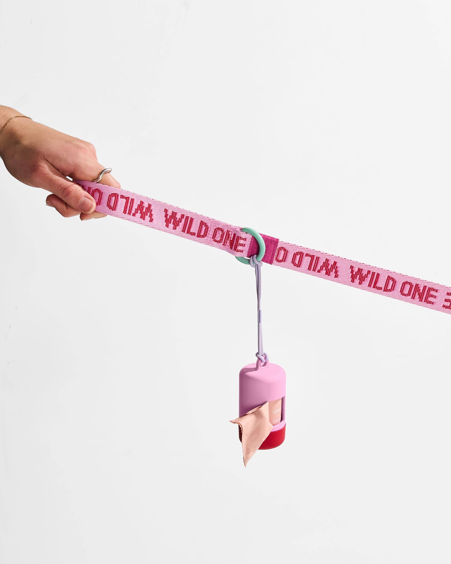 Lightweight Nylon Leash