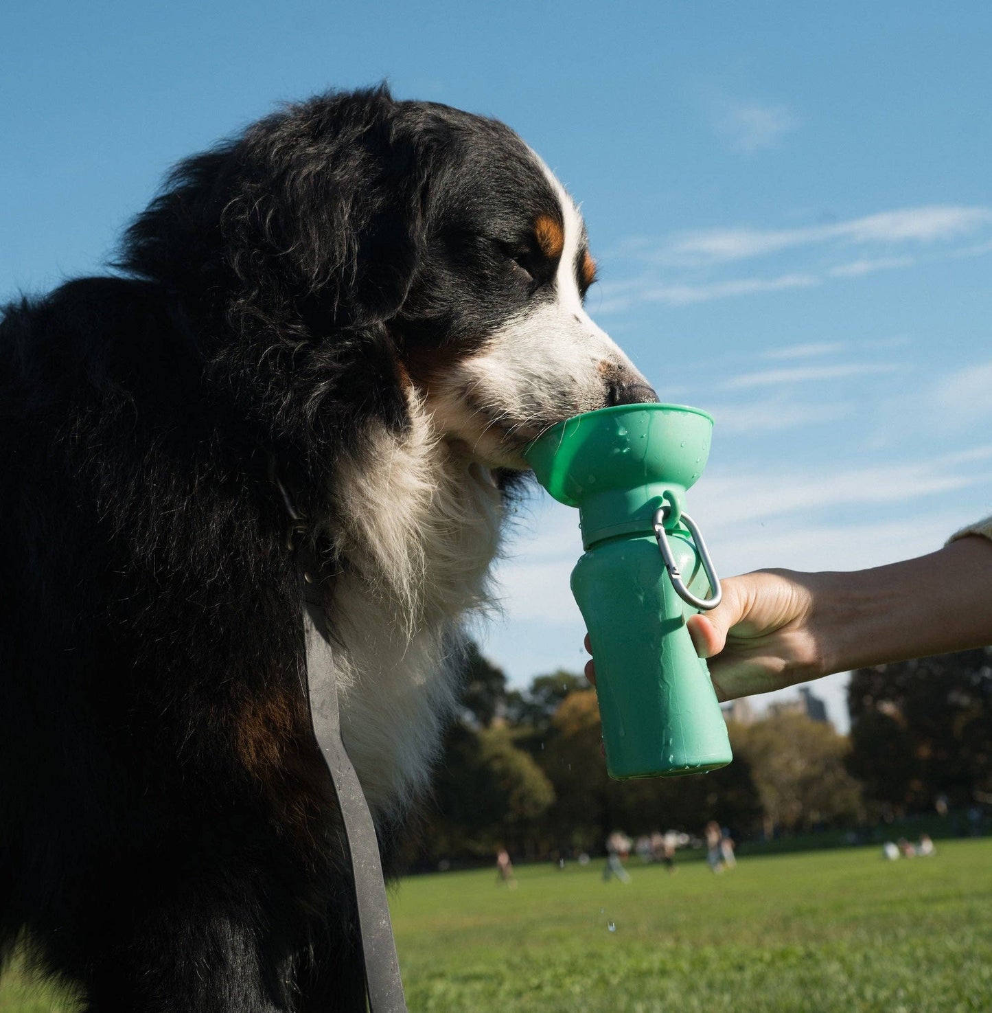 Dog Travel Water Bottle, 20oz, Flip Silicone