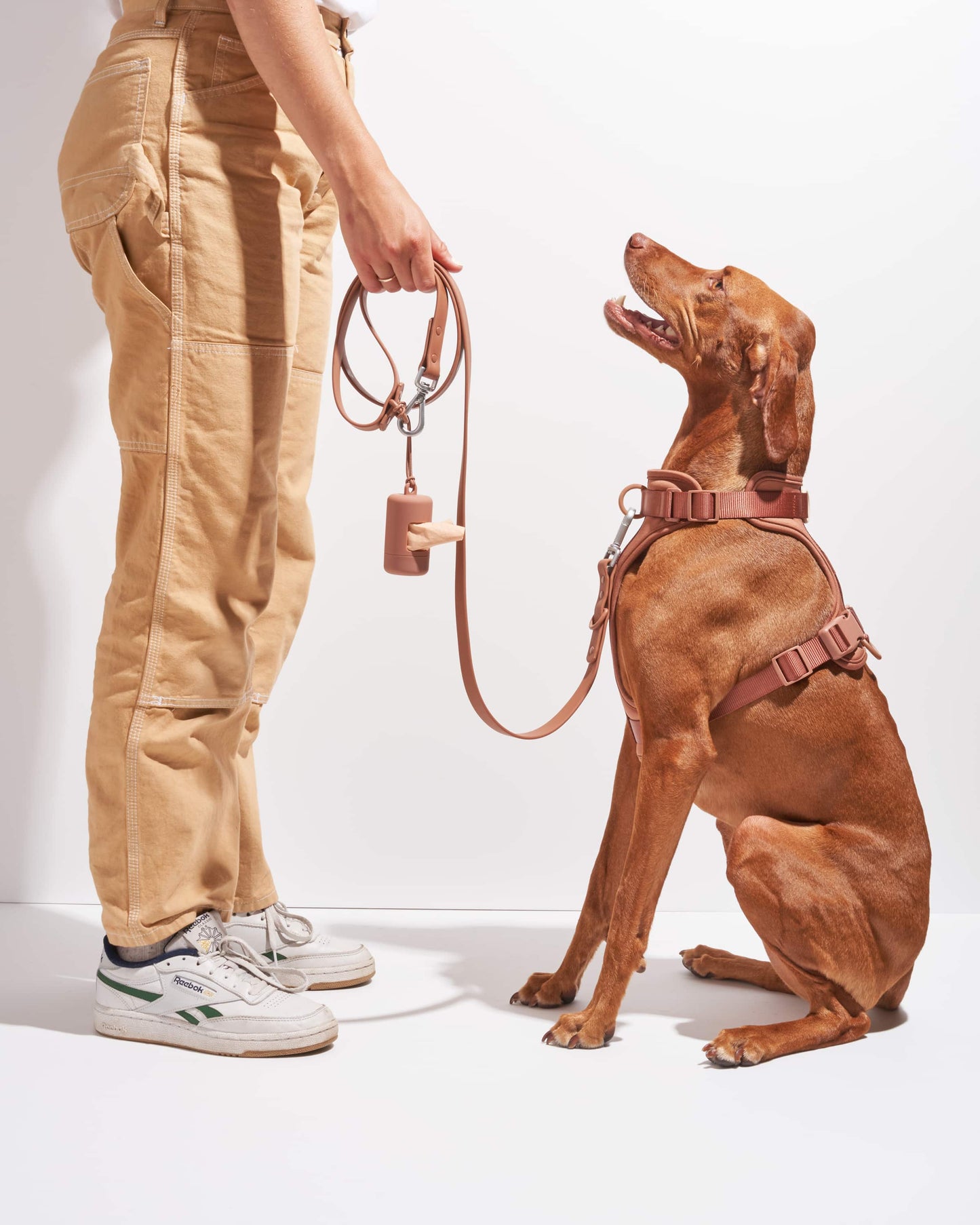 Poop Bag Carrier Dispenser for Pets & Dogs