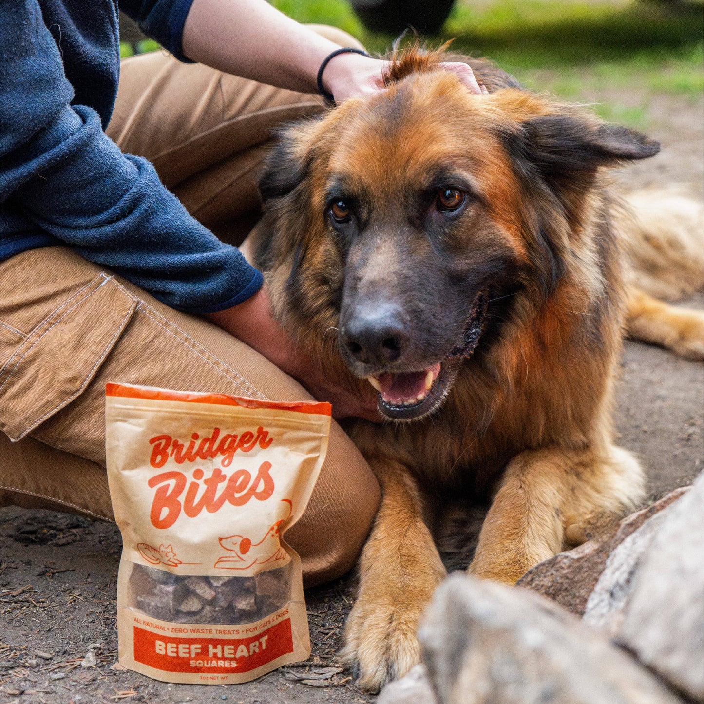 Freeze-Dried Beef Heart