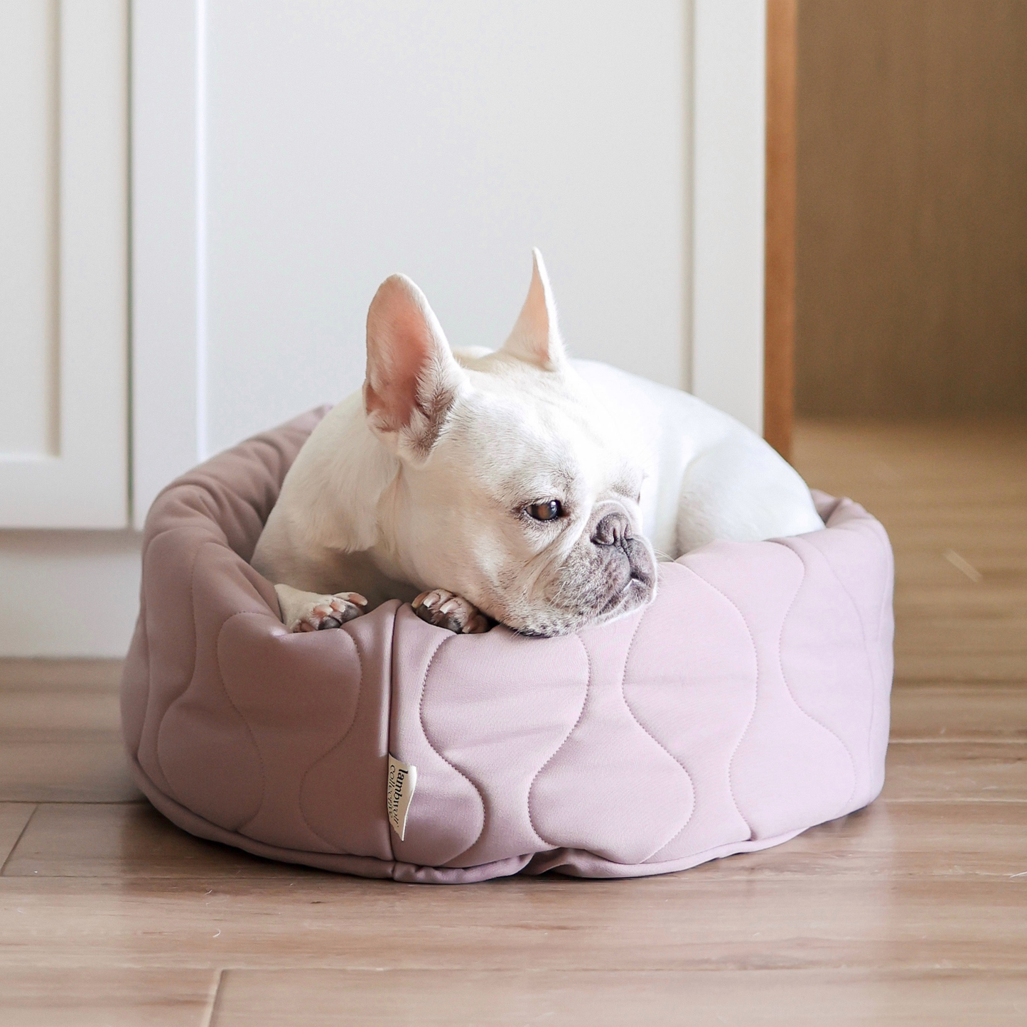 TAART // DOG&CAT BED // Reversible // PETITE