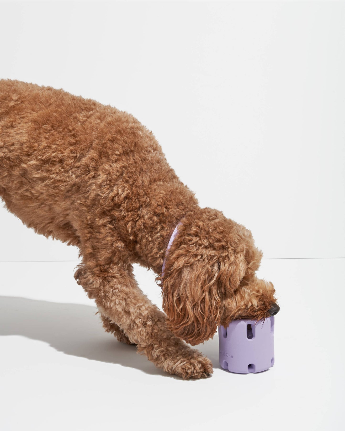 Tennis Tumble Interactive Dog Toy