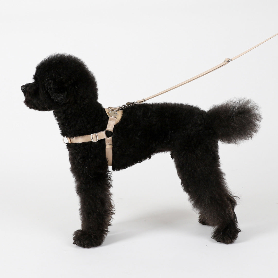 Horsebit Harness : Black