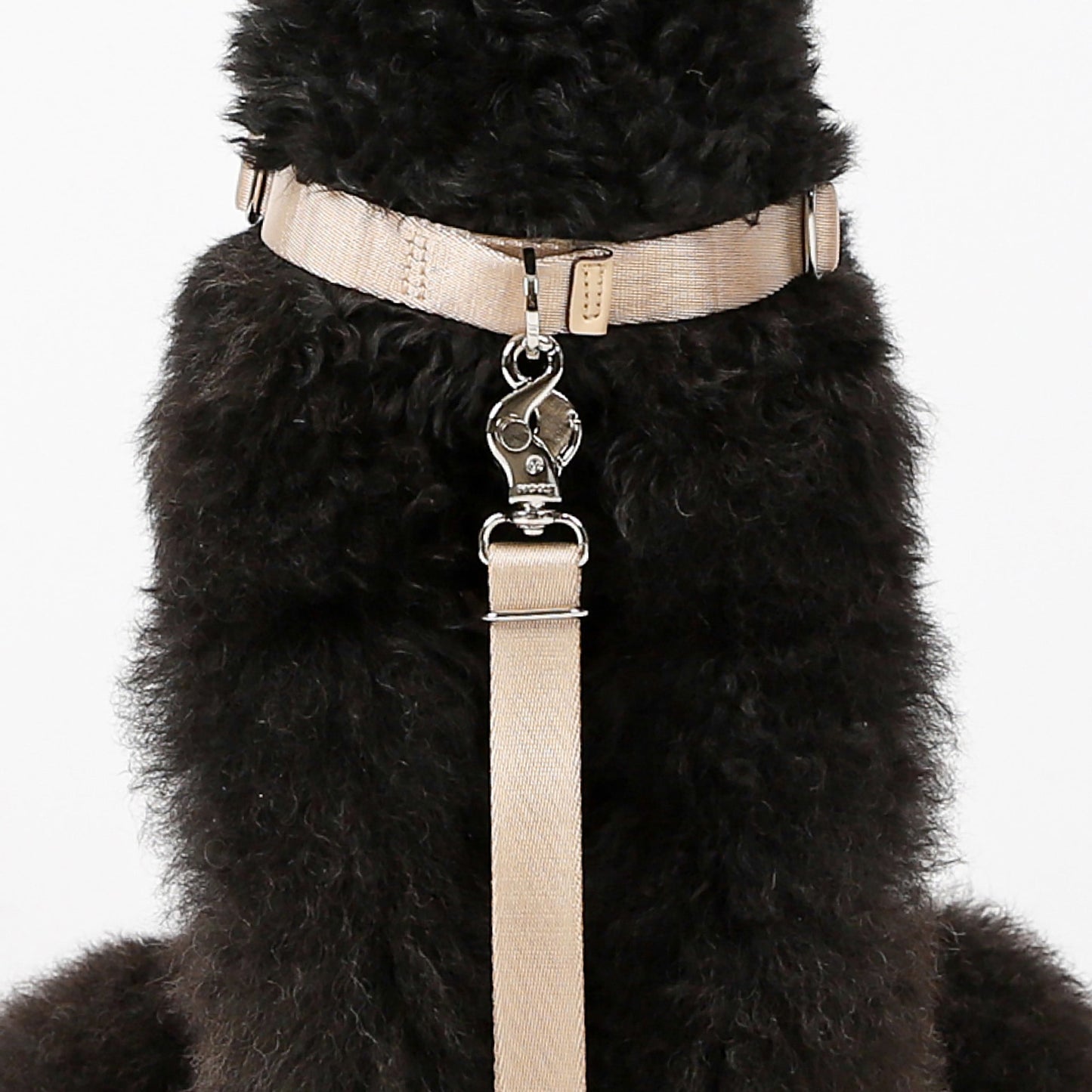 Horsebit Harness : Black