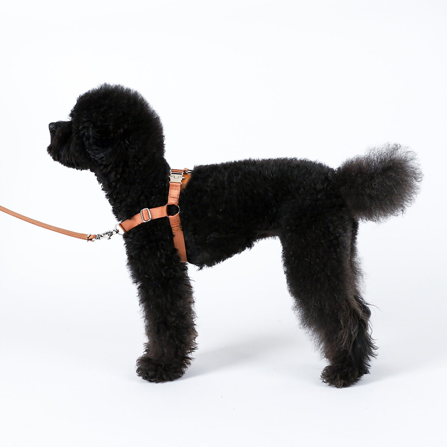 Horsebit Harness : Black