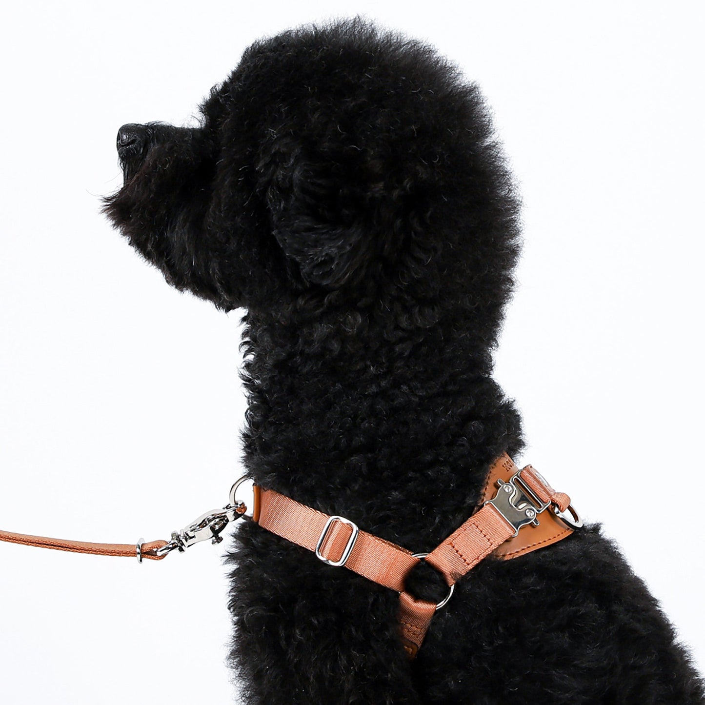 Horsebit Harness : Black