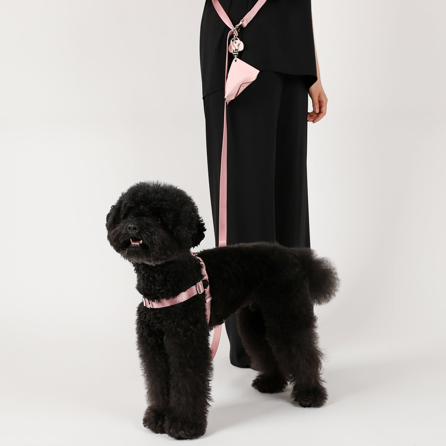 Horsebit Harness : Black