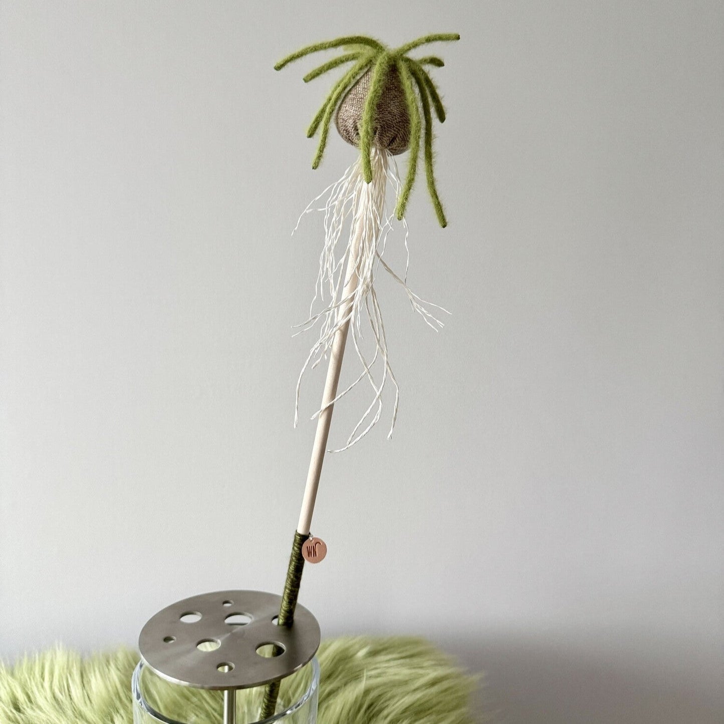 Albuca Wand