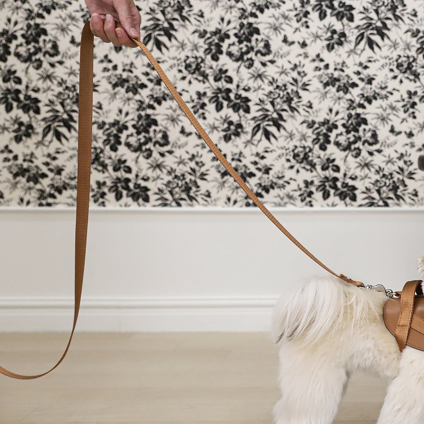 Saddle Hands-free Leash : Camel