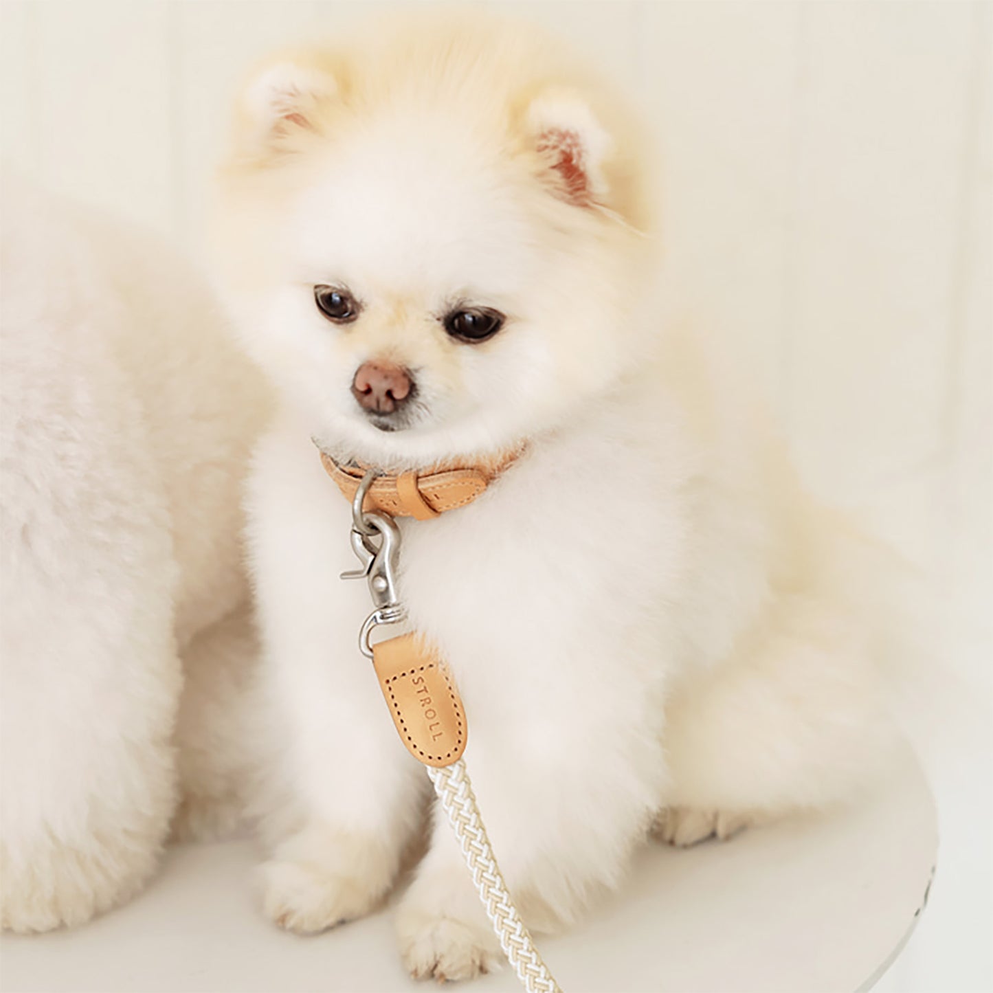 Stroll Light Weight Rope Collar