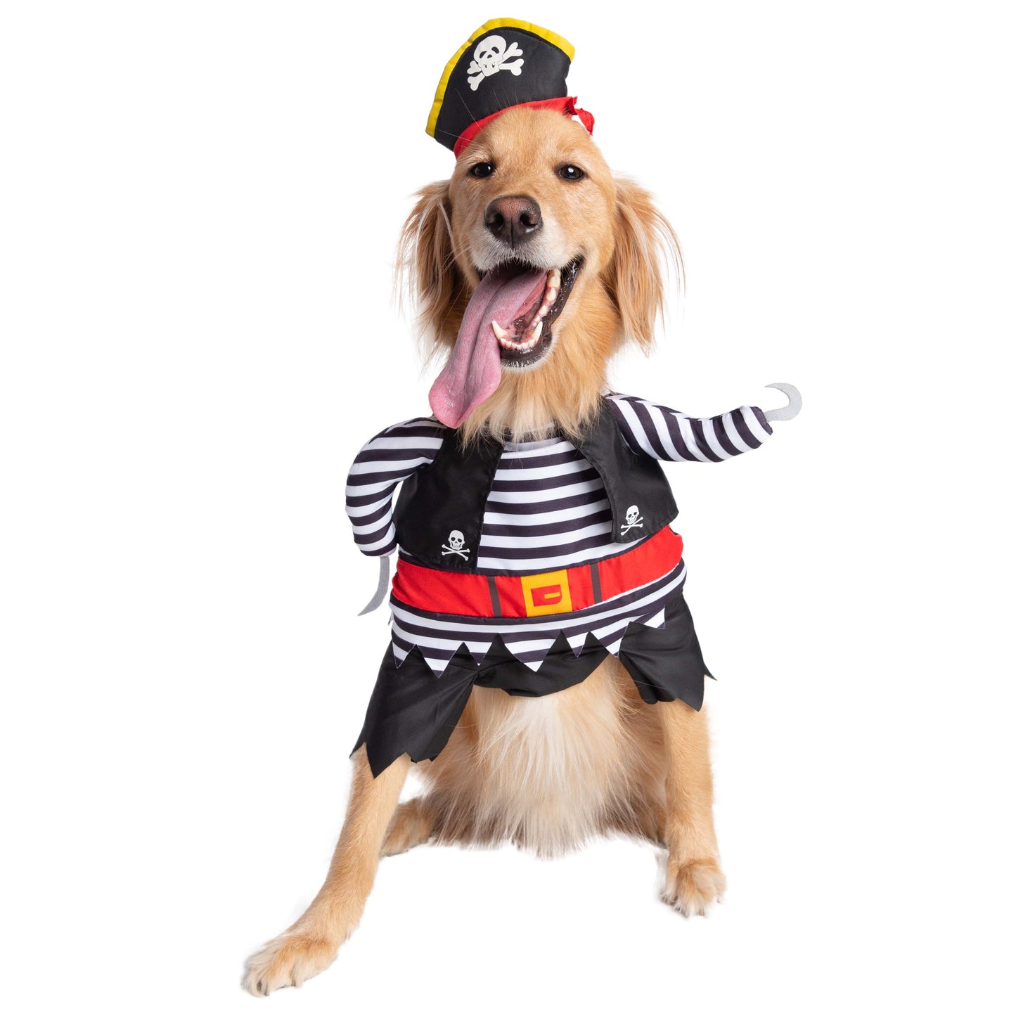 Pirate Costume