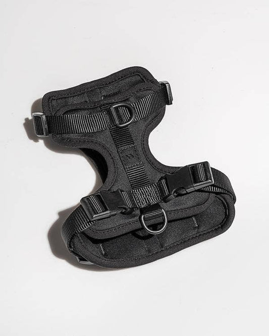 Wild One Harness - Black
