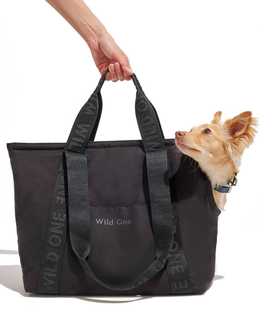 Cotton Everyday Carrier: Black