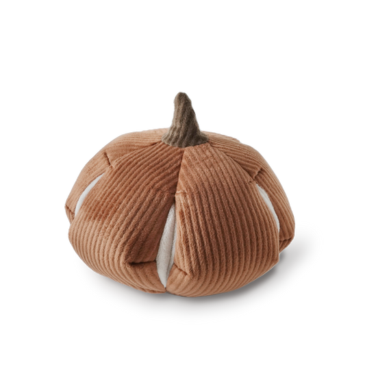 CINDERELLA DOG TOY