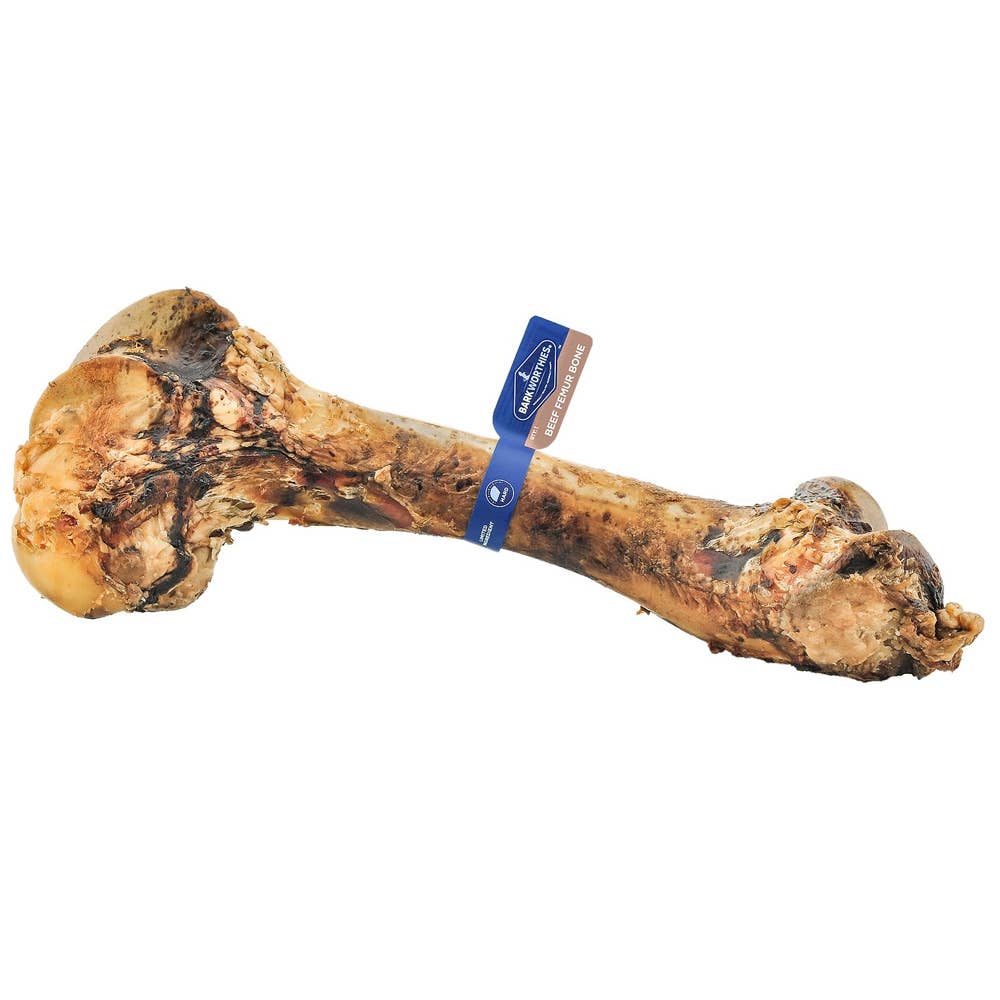 Barkworthies Femur Bone