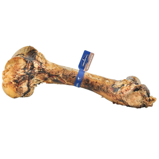 Barkworthies Femur Bone