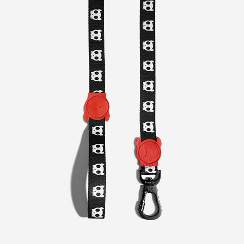 Zee Dog Skull 2.0 | Leash