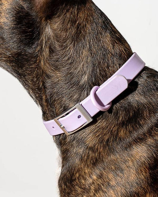 Lilac Collar