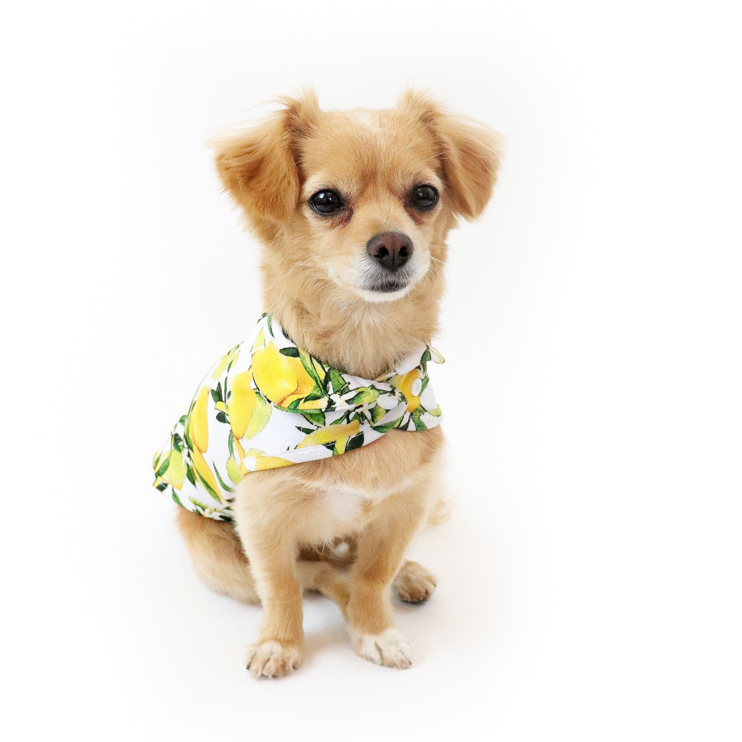 [RESTOCKED] LCB Nice Cooling Jacket