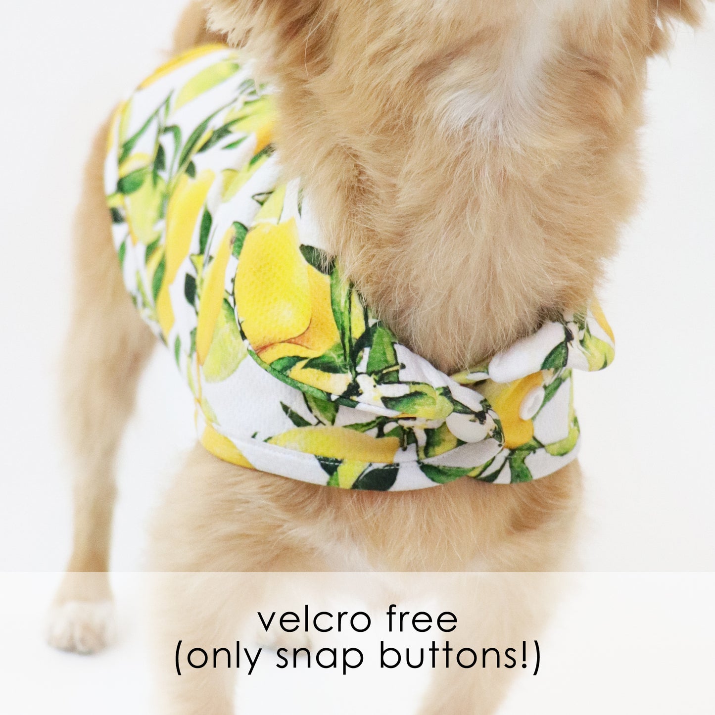 [RESTOCKED] LCB Nice Cooling Jacket