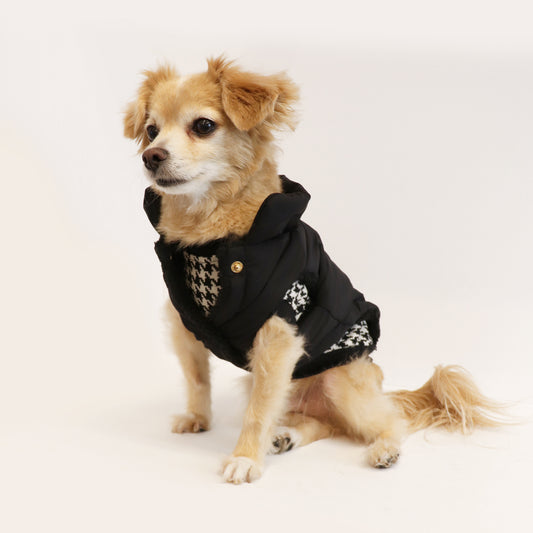 LCB Puffer Jacket - Black
